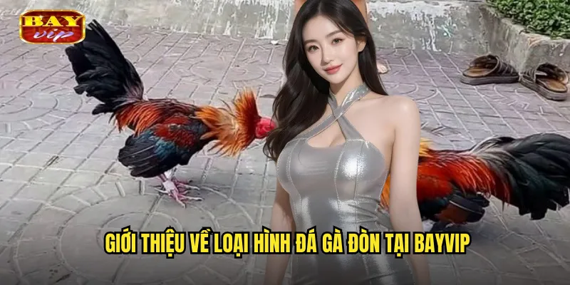 Giới thiệu về loại hình đá gà đòn tại bayvip