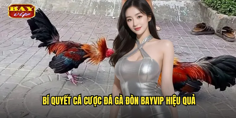 Bí quyết cá cược đá gà đòn bayvip hiệu quả