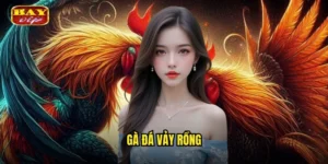gà đá vảy rồng