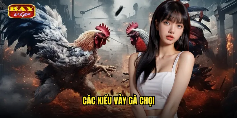 các kiểu vảy gà chọi