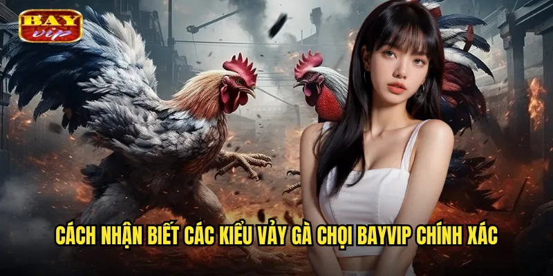 Cách nhận biết các kiểu vảy gà chọi bayvip chính xác