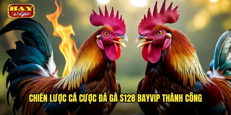 Chiến lược cá cược đá gà S128 bayvip thành công