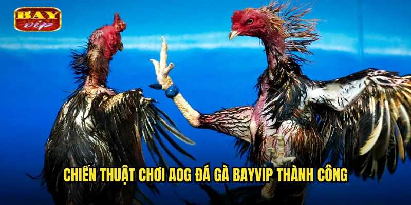 Chiến thuật chơi AOG đá gà bayvip thành công
