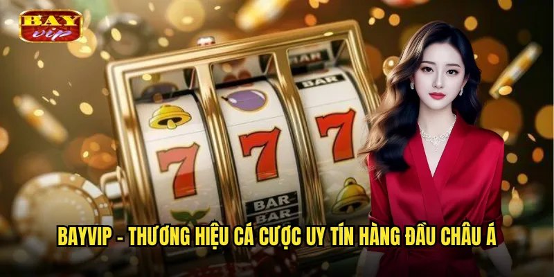 Bayvip - Thương Hiệu Cá Cược Uy Tín Hàng Đầu Châu Á