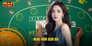 ngầu hầm xem bài