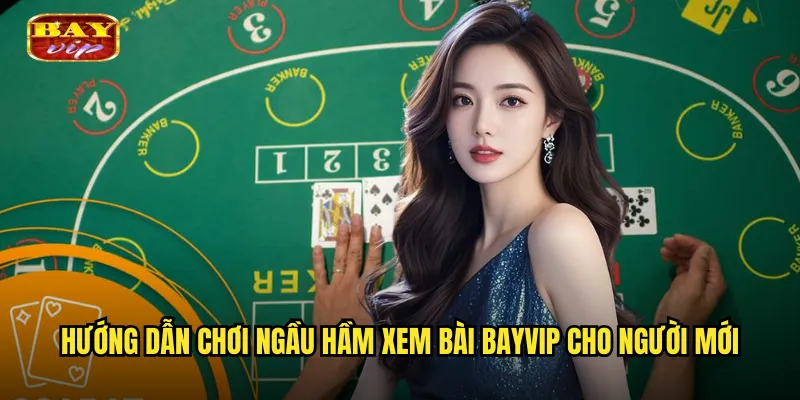 Ngầu Hầm Xem Bài Bayvip - Khám Phá Trò Chơi Dân Gian Đầy Bí Ẩn 3 Hướng dẫn chơi ngầu hầm xem bài bayvip cho người mới