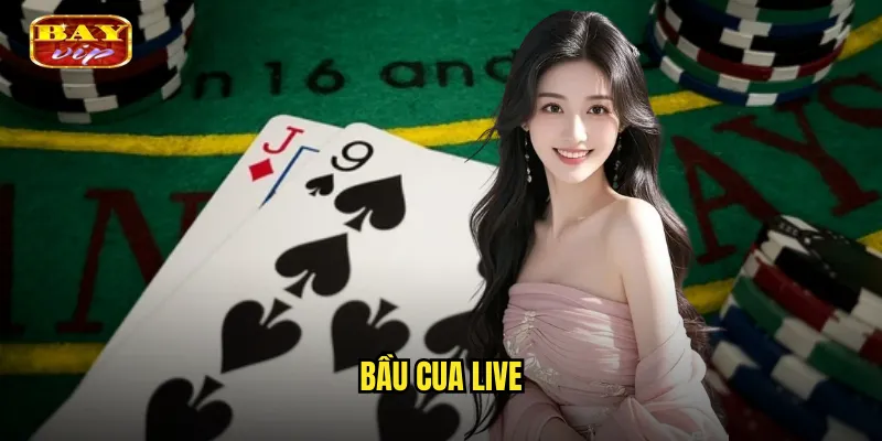 Bầu Cua Live Bayvip - Trải Nghiệm Trực Tiếp Như Tại Sòng Bài 1 bầu cua live