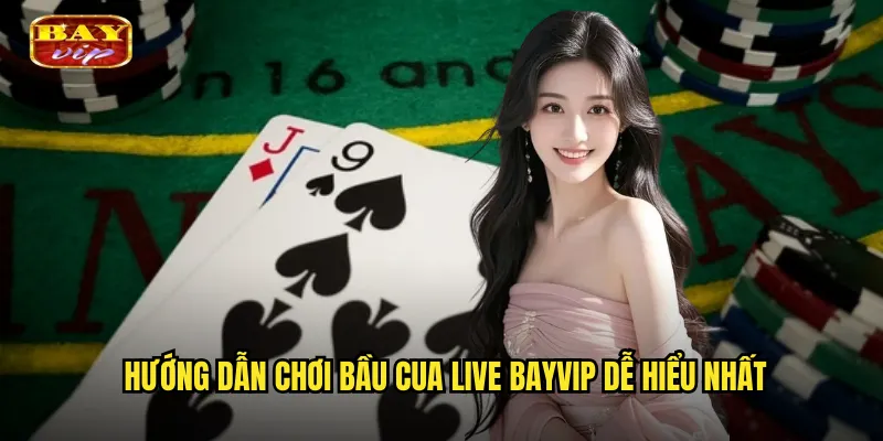Bầu Cua Live Bayvip - Trải Nghiệm Trực Tiếp Như Tại Sòng Bài 3 Hướng dẫn chơi bầu cua live bayvip dễ hiểu nhất